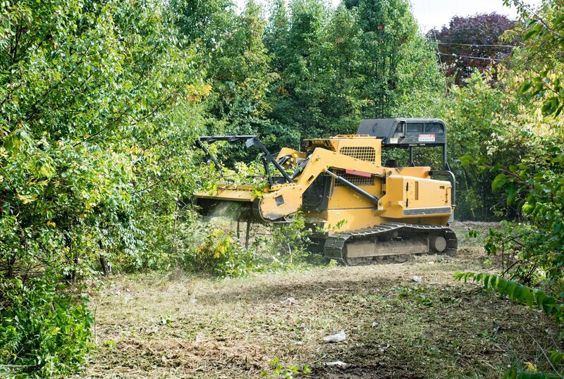 land clearing contractors jonesboro arkansas